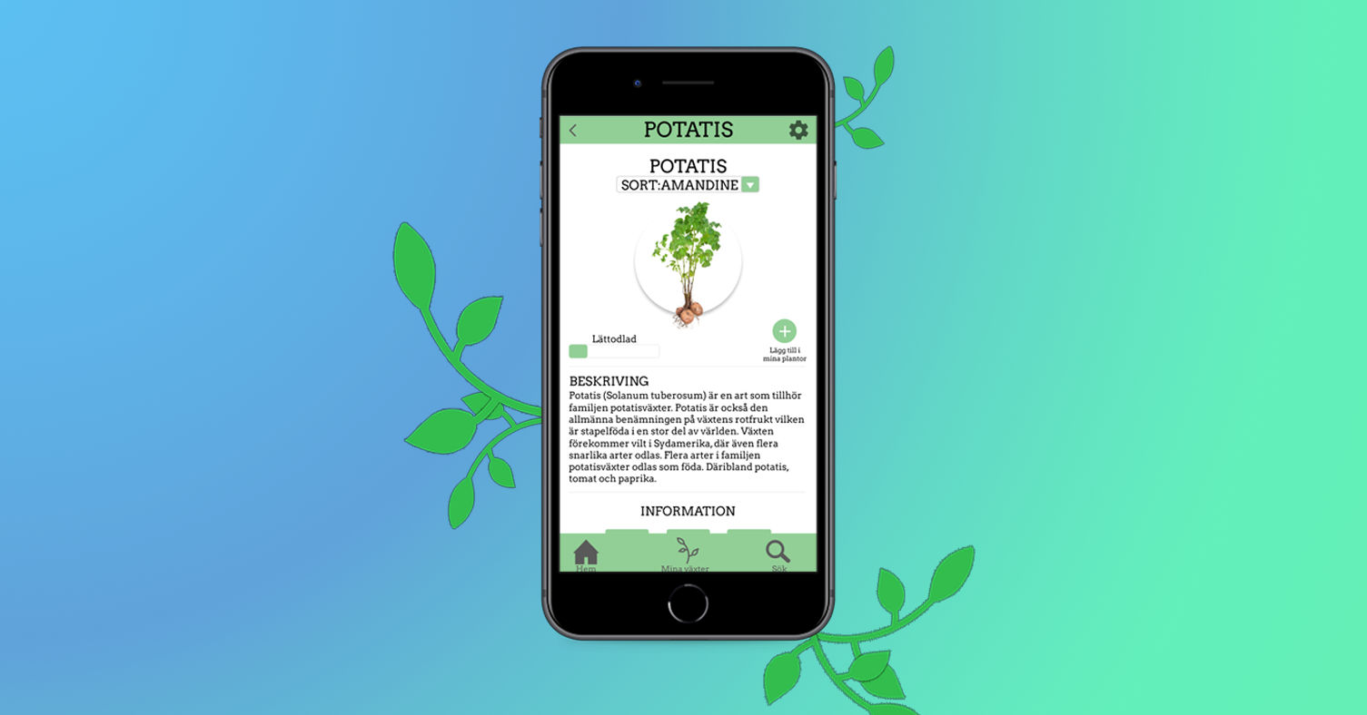 Main Screen For Crops